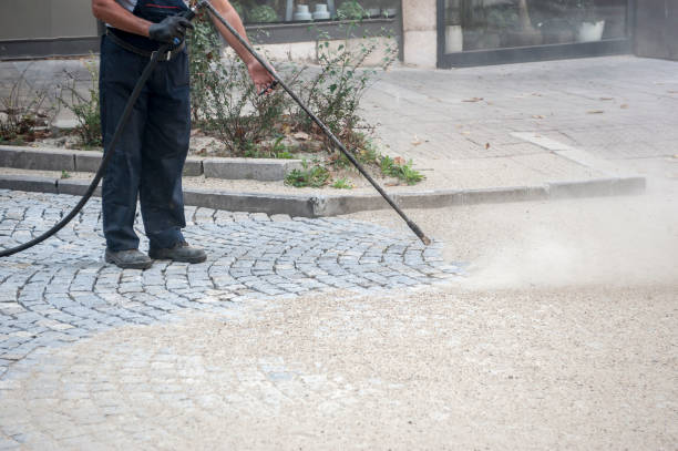 Best Dumpster Area Cleaning  in Clintondale, NY